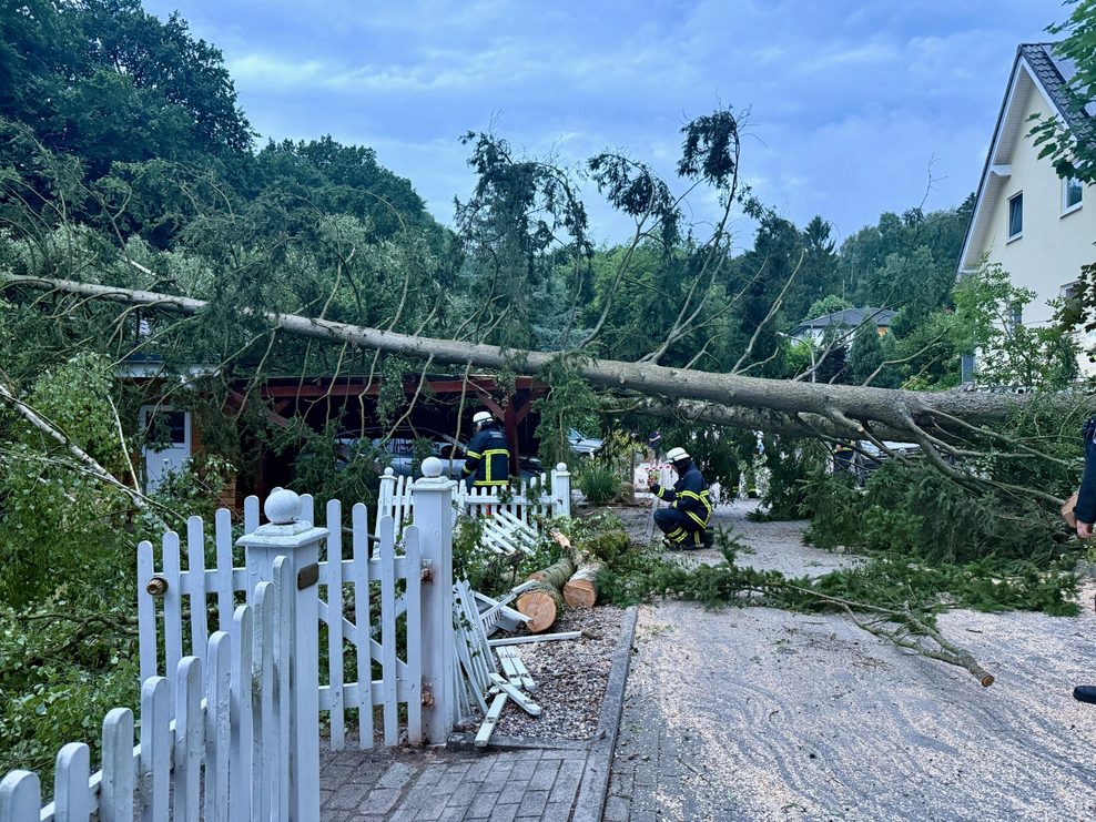Baum in Marmstorf auf Gaus gestürzt