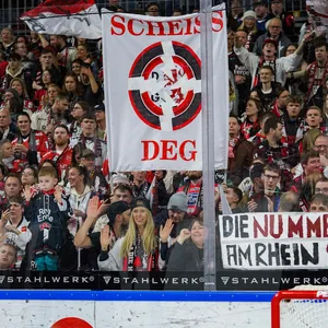 Ein Schmähplakat der Fans der Kölner Haie gegen die Düsseldorfer EG