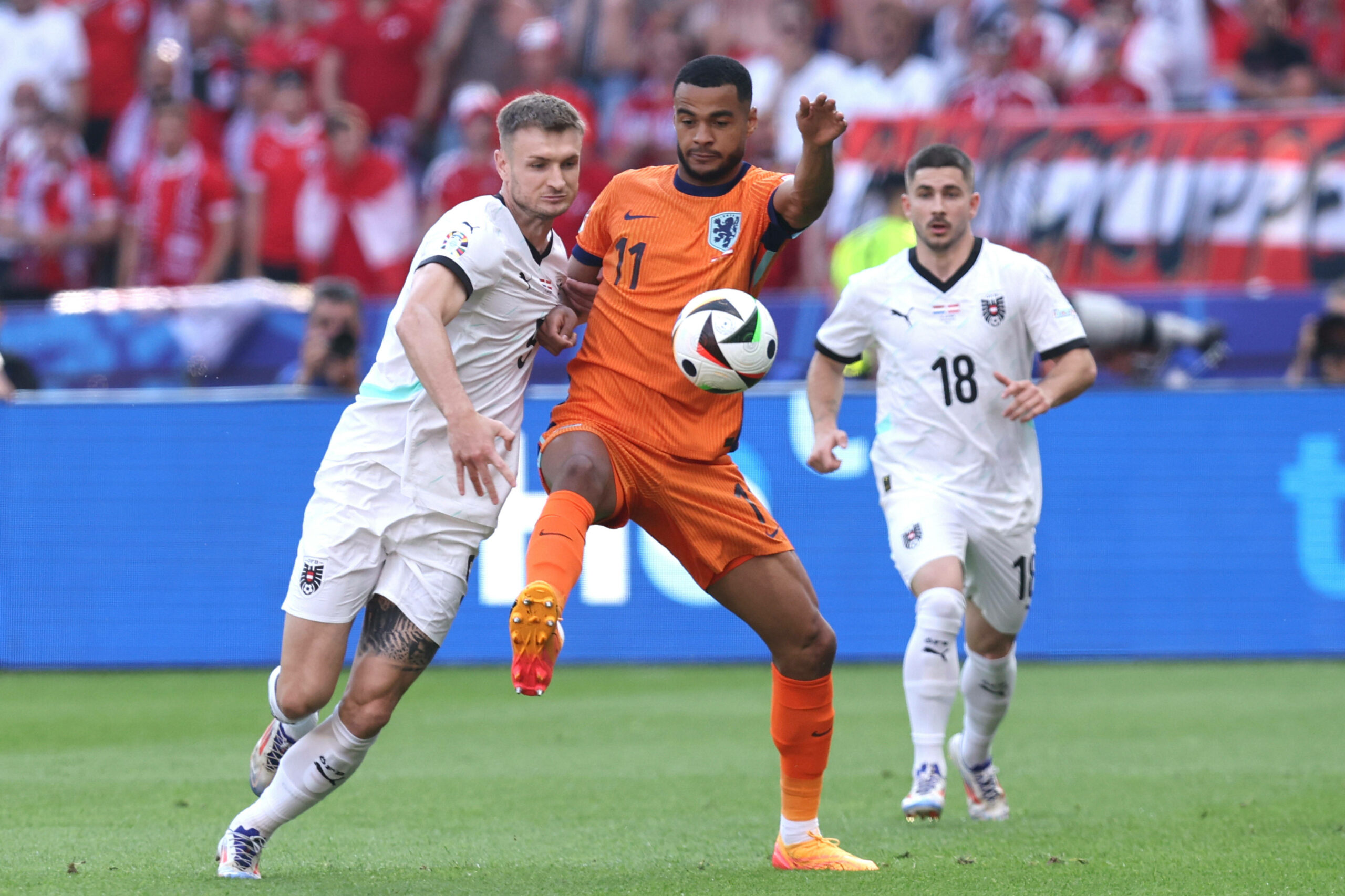 Österreichs Stefan Posch gegen Hollands Cody Gakpo
