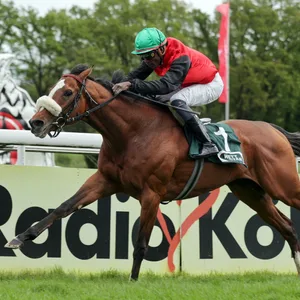 Jockey Eduardo Pedroza auf Delgardo