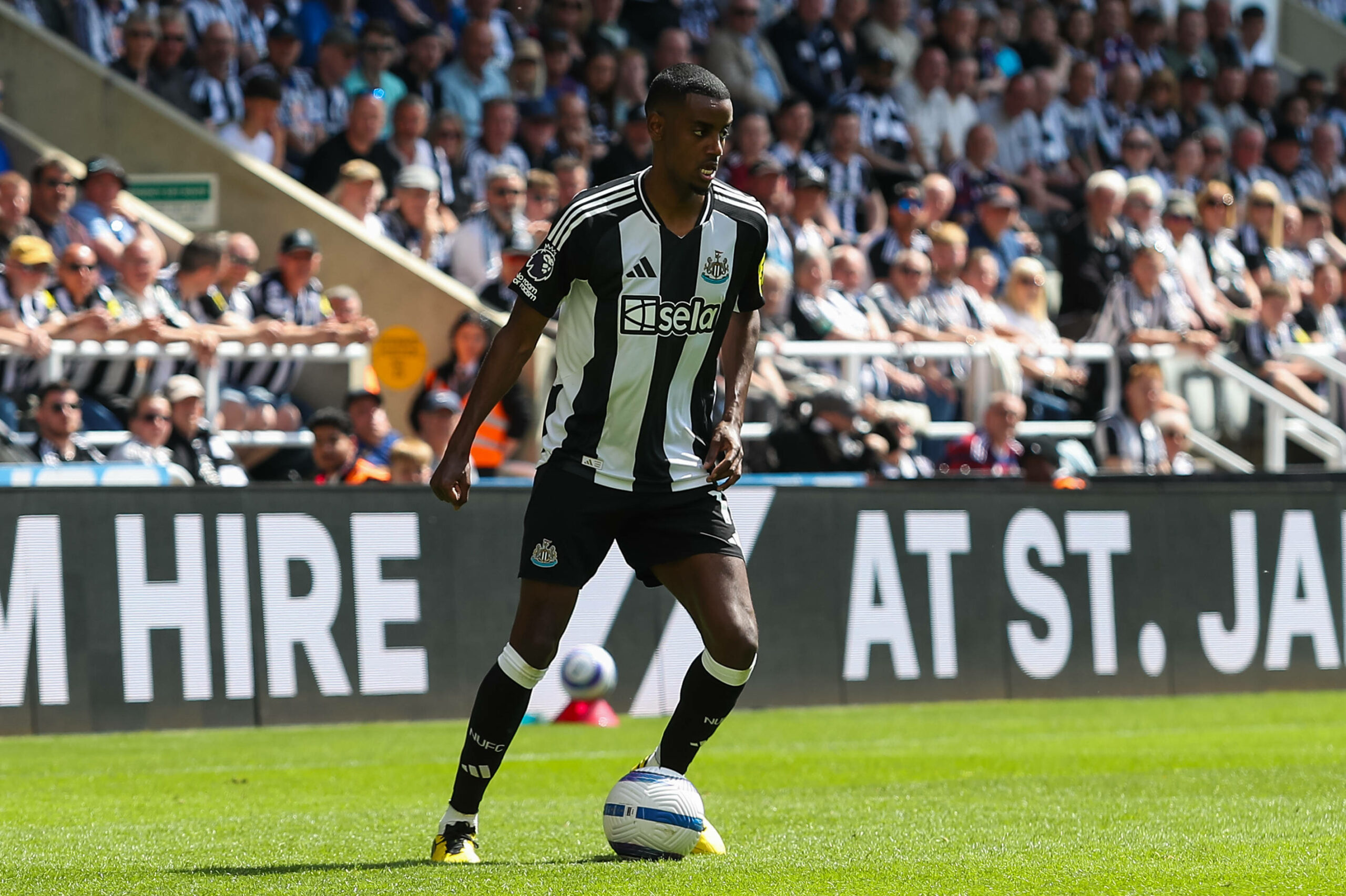 Alexander Isak im Trikot von Newcastle United