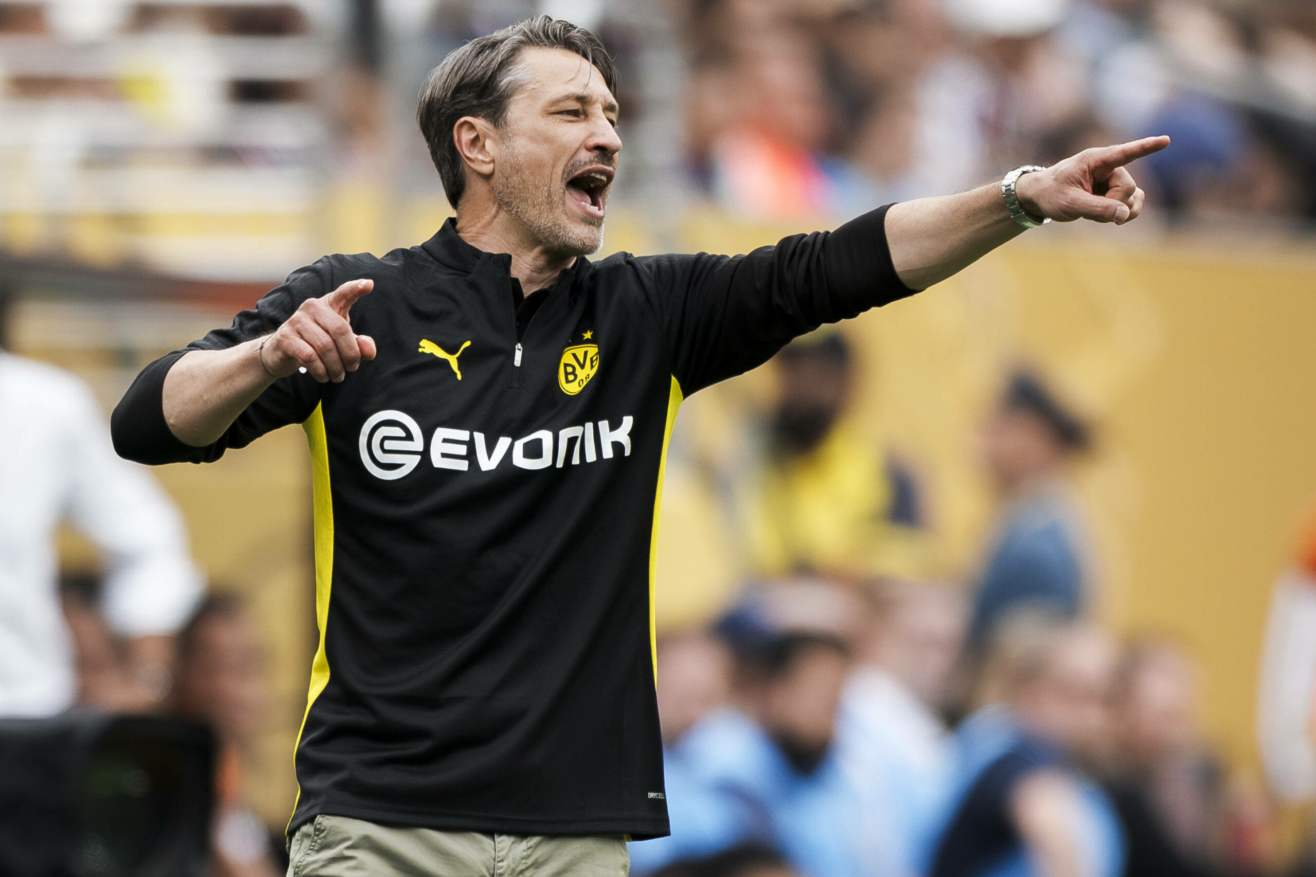 Niko Kovac vom BVB