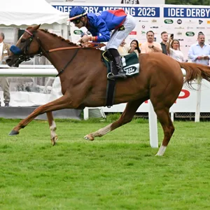 Flatten the Curve mit Jockey Lukas Delozier in Hamburg