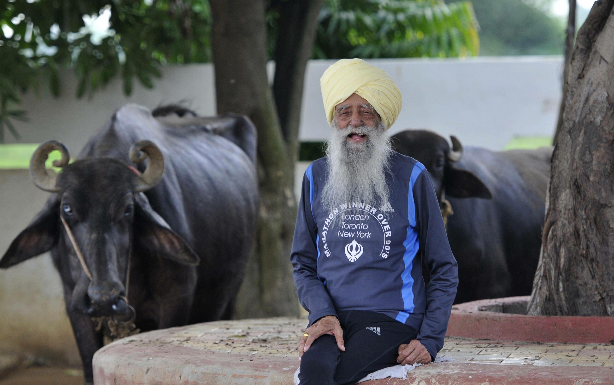Fauja Singh vor einer Büffelherde