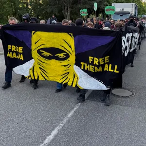 Demonstranten
