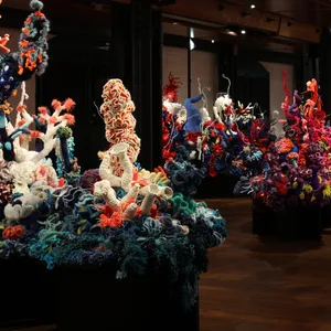 Bunte Korallenriffe aus Wolle in einem Ausstellungsraum