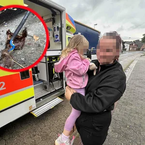 Mutter und Tochter erleiden in Himmelpforten einen Stromschlag als sie an einem illegalen Automaten Snacks ziehen wollten