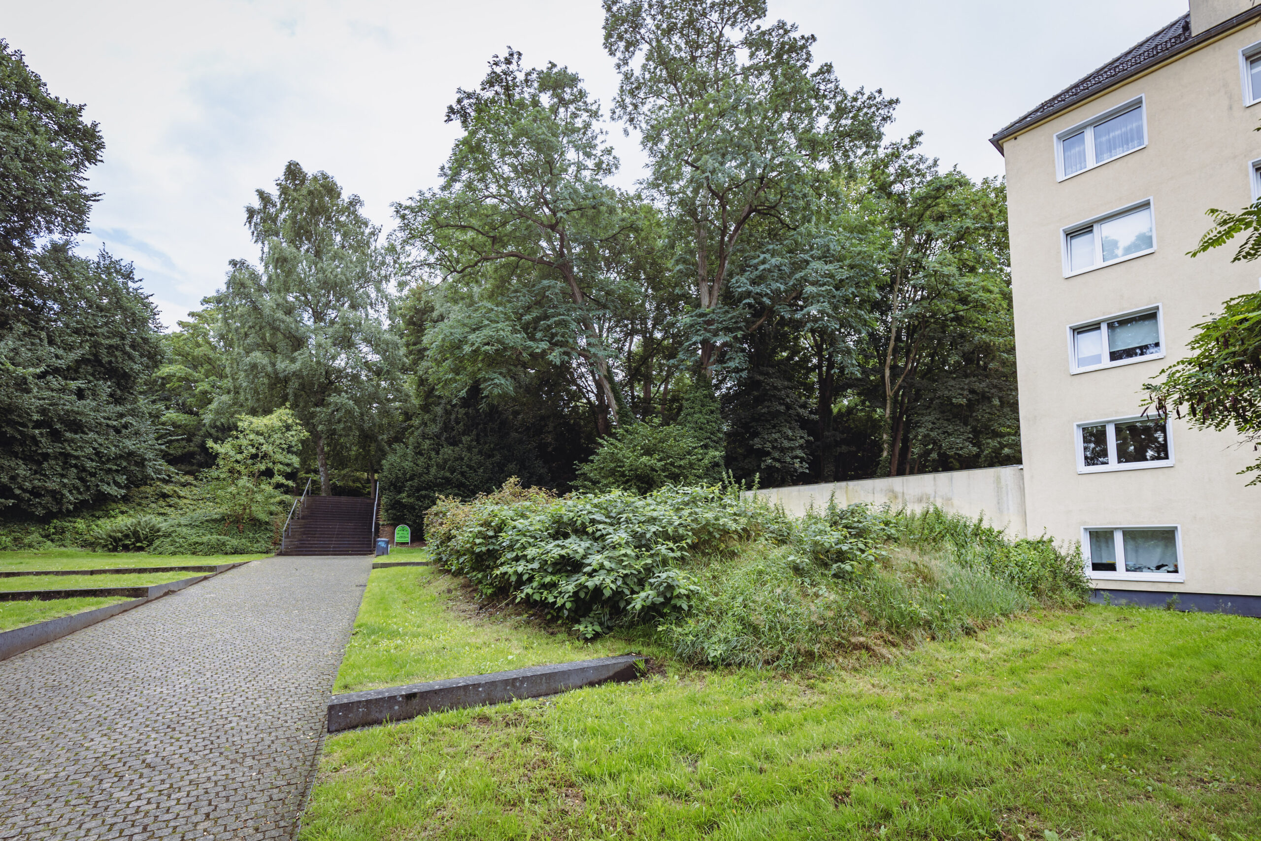 Dieses verwilderte Stück Land am alten Friedhof in Harburg gehört niemandem und es wird von niemandem gepflegt. Deshalb ist es vollgewuchert.