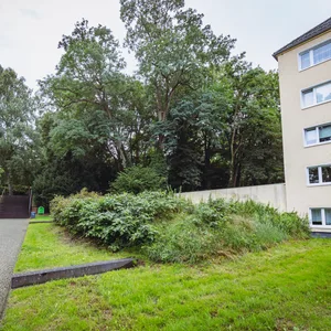 Dieses verwilderte Stück Land am alten Friedhof in Harburg gehört niemandem und es wird von niemandem gepflegt. Deshalb ist es vollgewuchert.