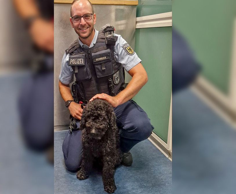 Hund fährt in Hamburg alleine S-Bahn – Bundespolizisten ermitteln Halterin