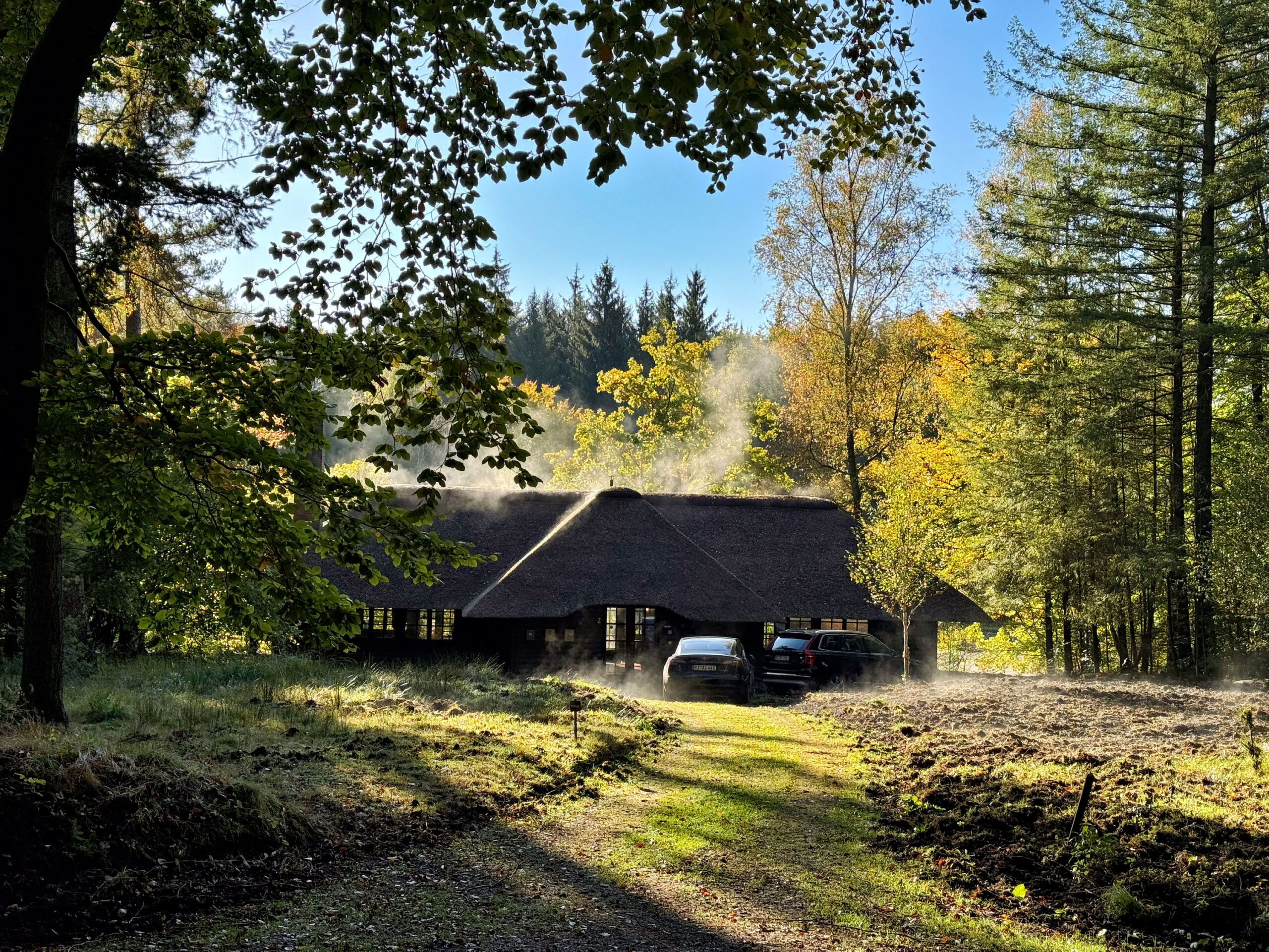 Steuer-Sonderfall Sachsenwald