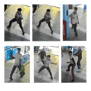Unbekannter Täter Alsterdorf