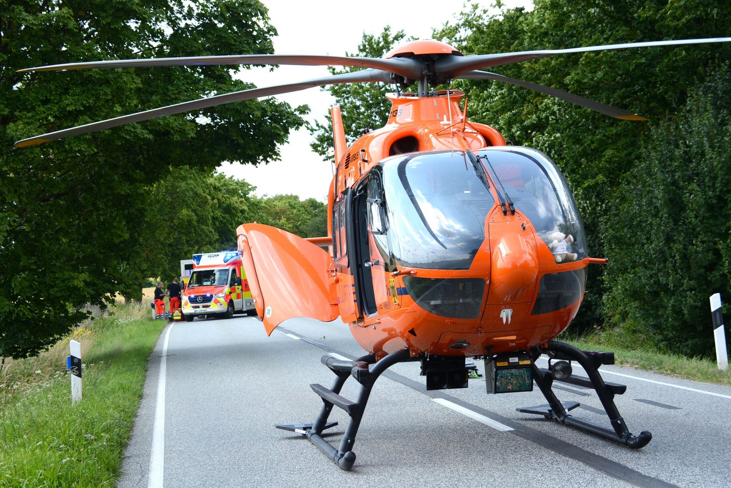 Auch ein Rettungshubschrauber kam zu dem Unfallort bei Rethwisch.