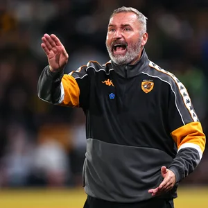 Tim Walter als Hull City-Coach