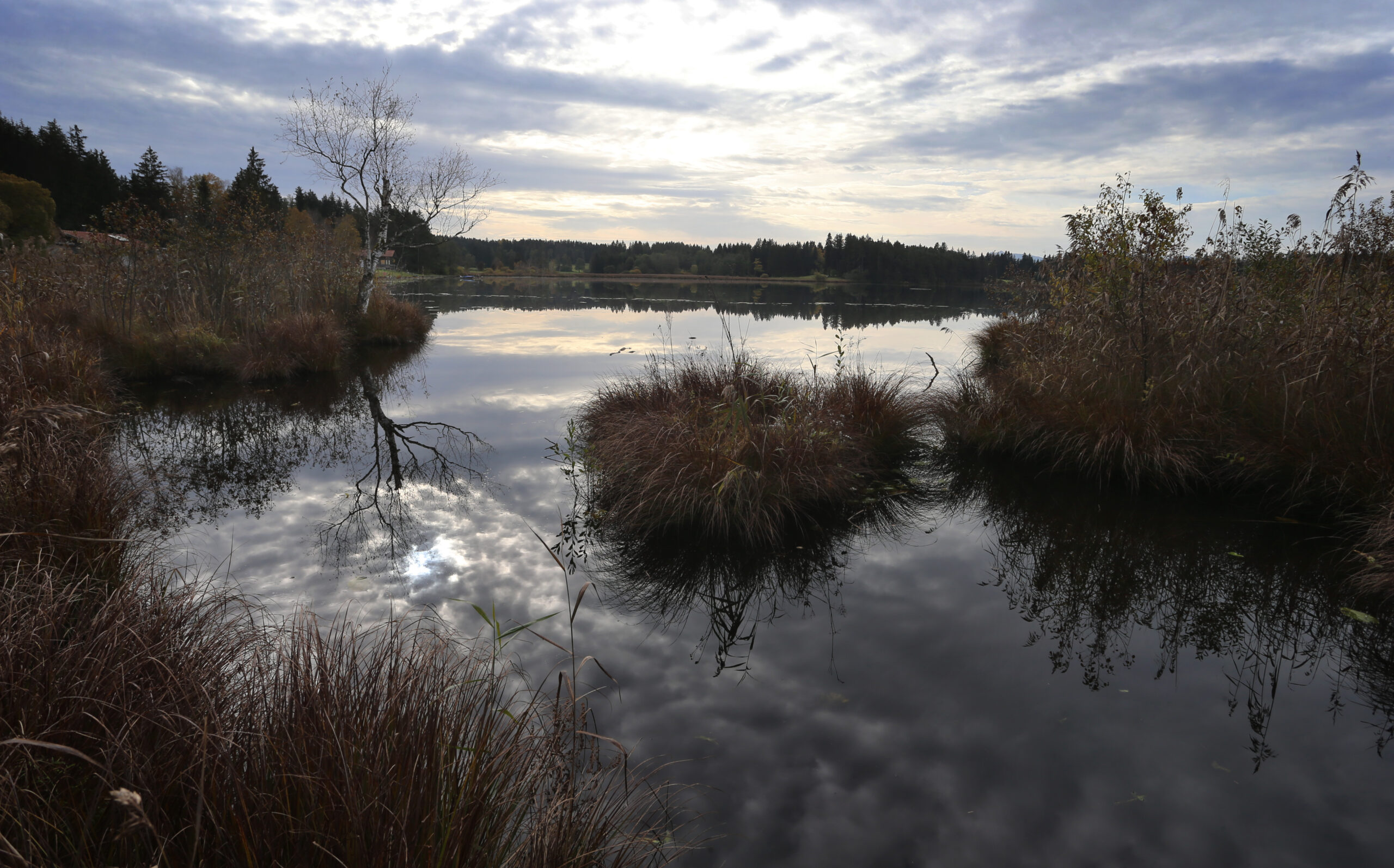 Der Maschener Moorsee (Archivbild)