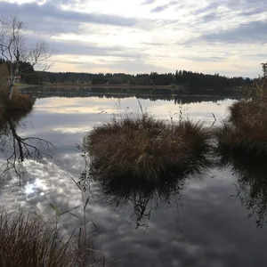 Der Maschener Moorsee (Archivbild)