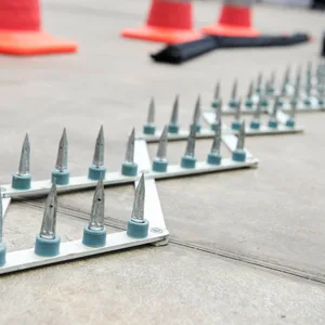Die Polizei setzte einen Stop-Stick, also eine Nagelsperre, ein.