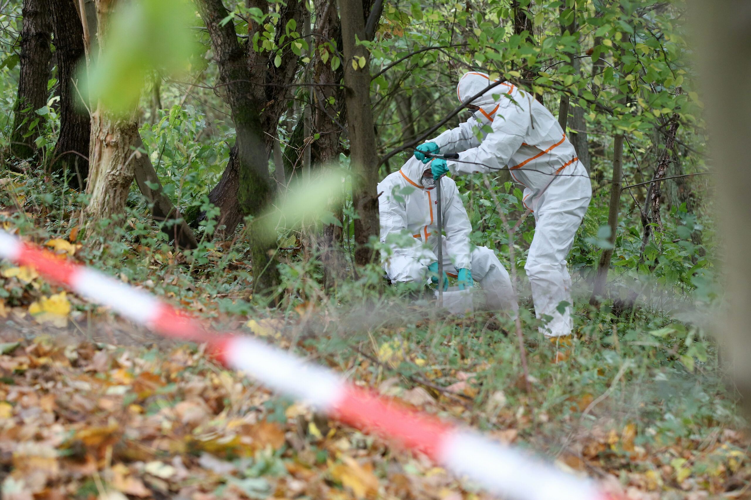 Dioxin-Skandal im Naturschutzgebiet Boberger Niederung: Bald starten die Sanierungsarbeiten.