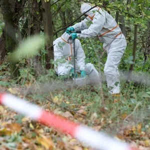 Dioxin-Skandal im Naturschutzgebiet Boberger Niederung: Bald starten die Sanierungsarbeiten.