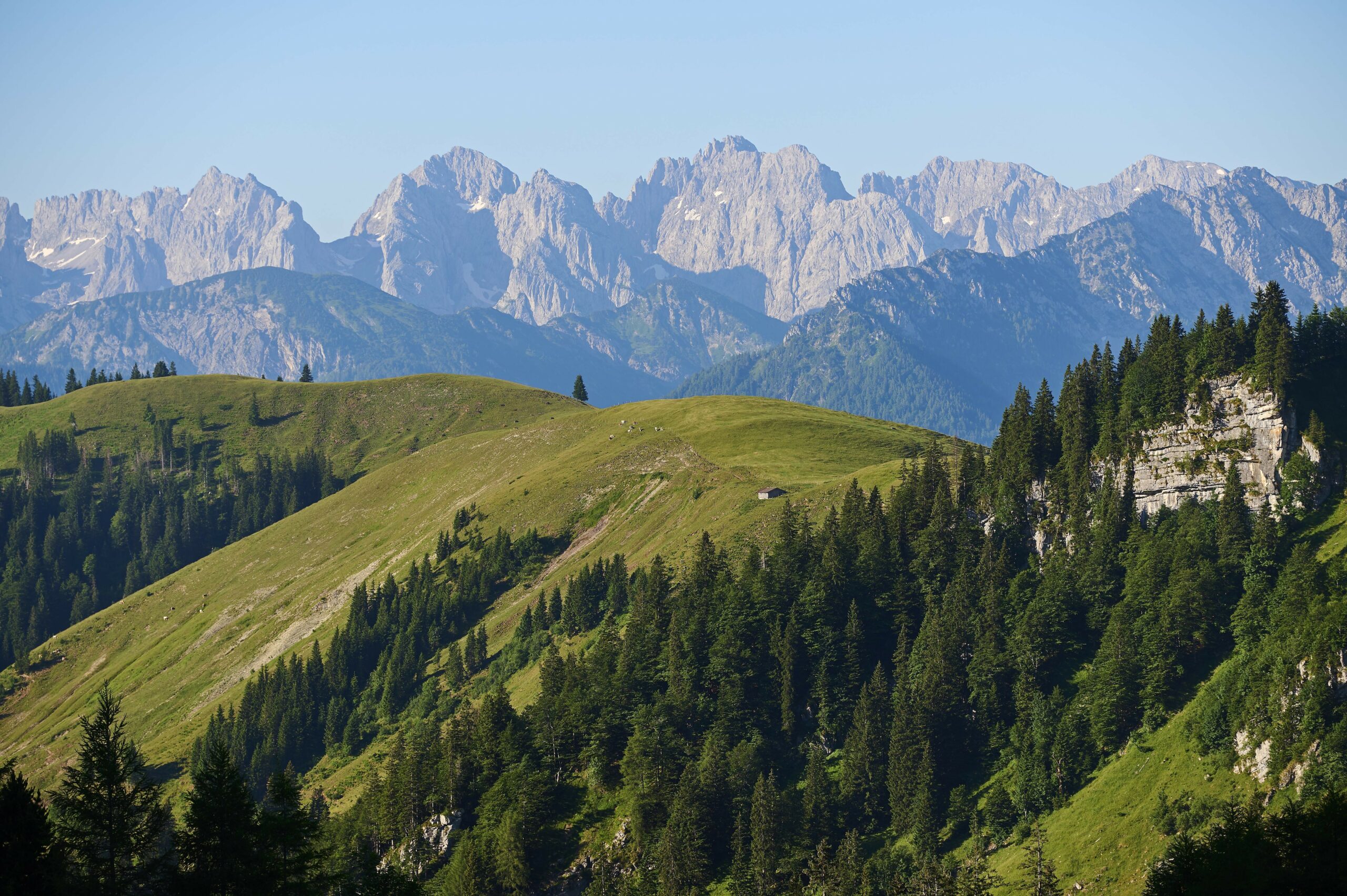 Der Wilde Kaiser in Tirol. Graue Berge im Hintergrund, davor liegen grüne Hügel und Tannenwälder.
