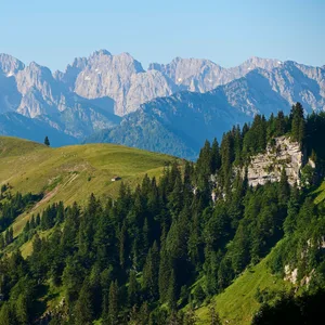 Der Wilde Kaiser in Tirol. Graue Berge im Hintergrund, davor liegen grüne Hügel und Tannenwälder.