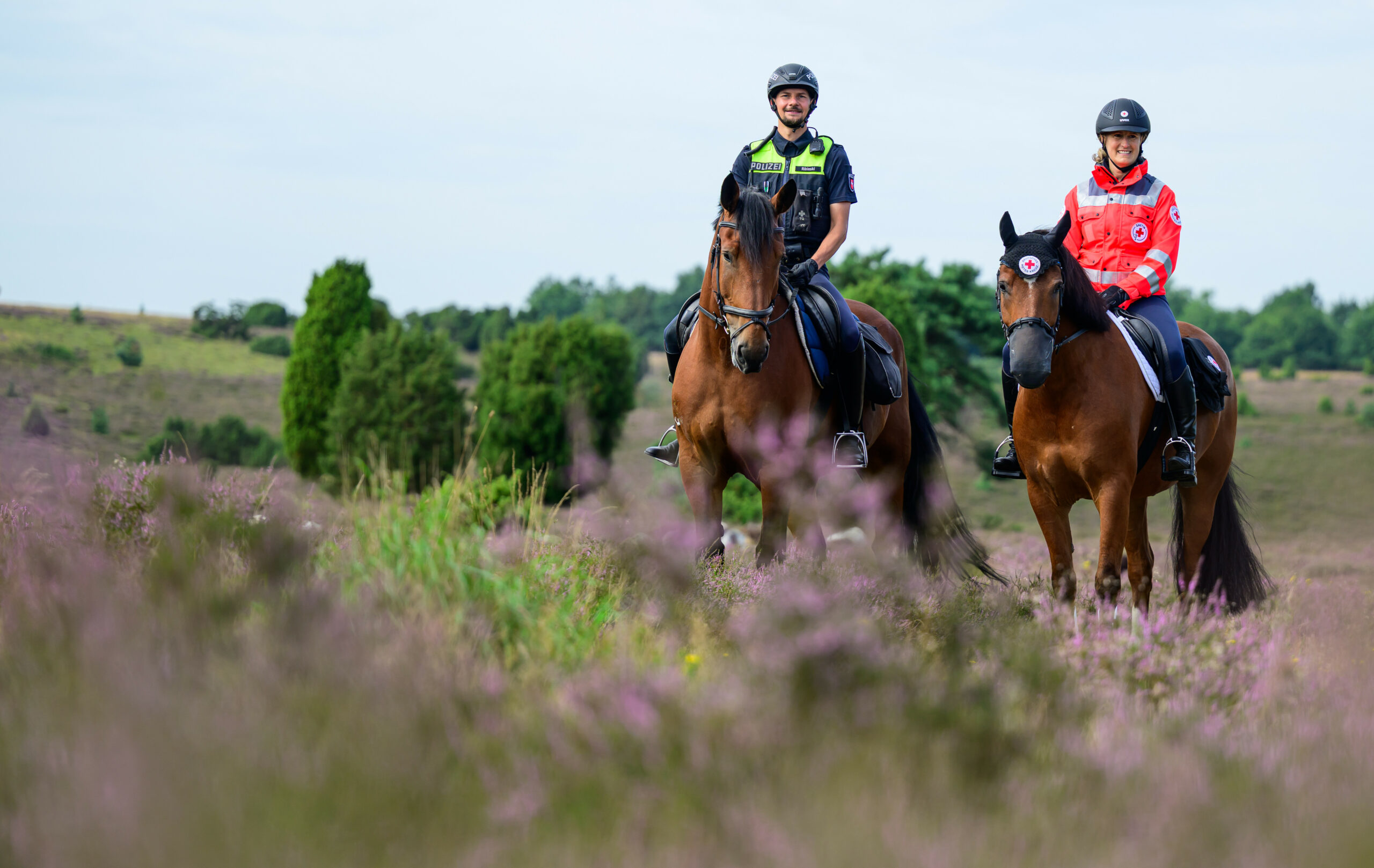 Reiter in der Lüneburger Heide