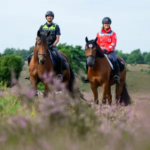 Reiter in der Lüneburger Heide