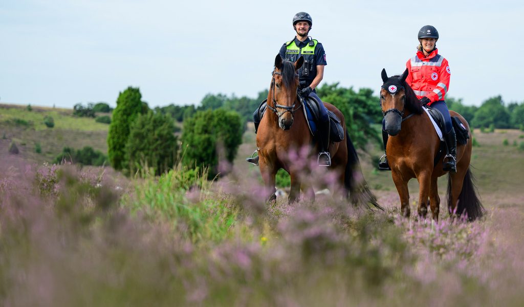 Heide-bl-ht-fr-her-als-sonst-Reiterstaffel-wacht-ber-das-violette-Meer