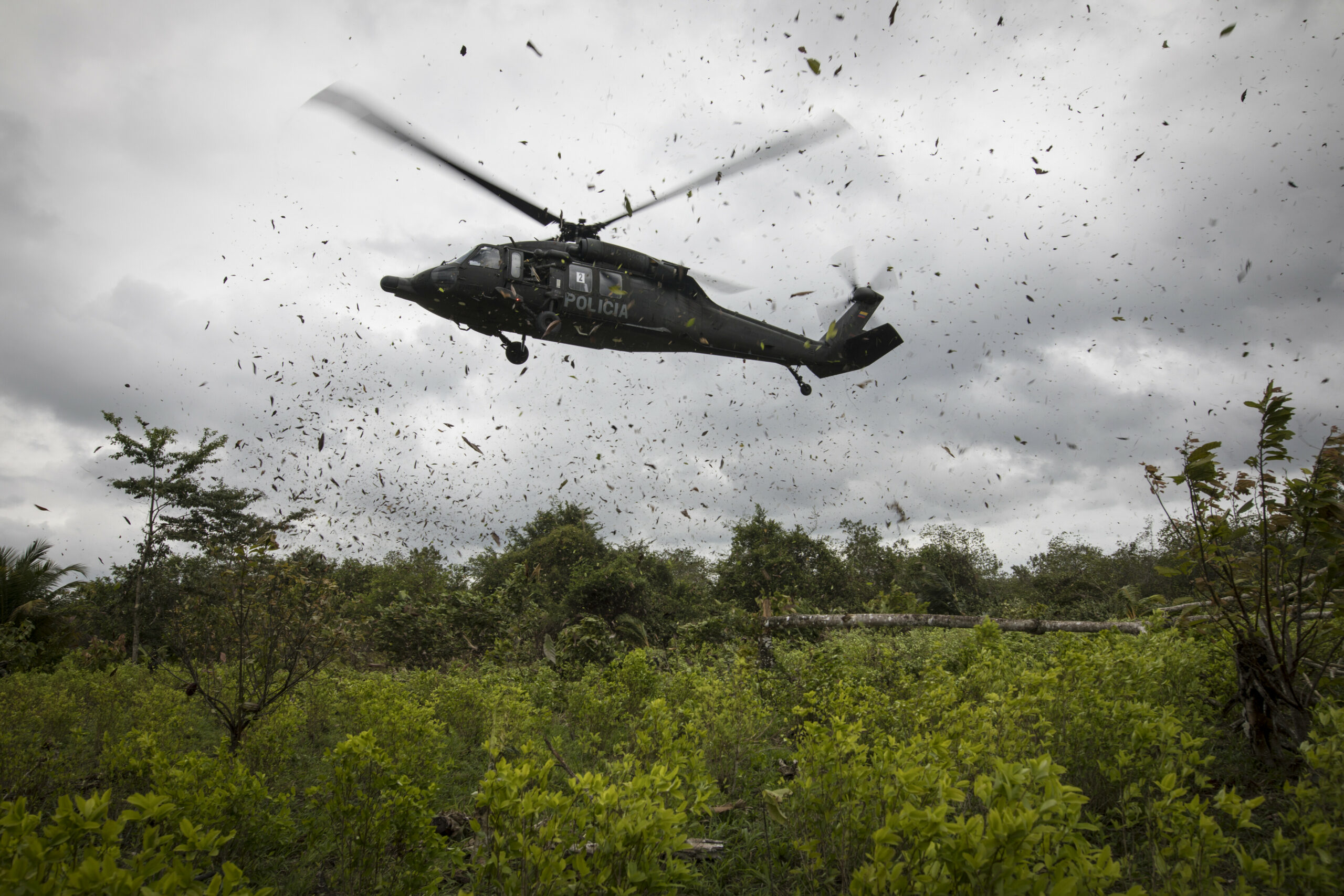 Ein Polizeihubschrauber landet auf einer Kokaplantage während einer Vernichtungsaktion in Tumaco, im Südwesten Kolumbiens.