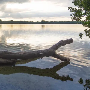 Der Behler See nahe Plön in Schleswig-Holstein (Archivbild).