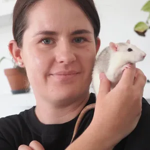 Lisa Rehbock widmet ihren Farbratten einen großen Teil ihres Lebens.