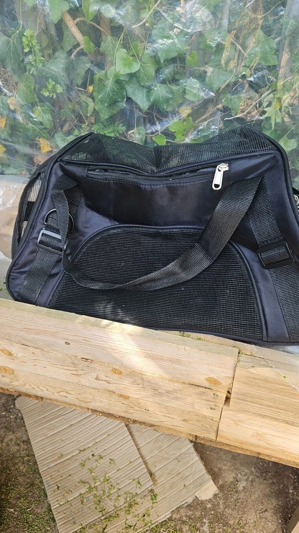 In dieser Tasche hatten die beiden Tierquäler die Katzen transportiert.