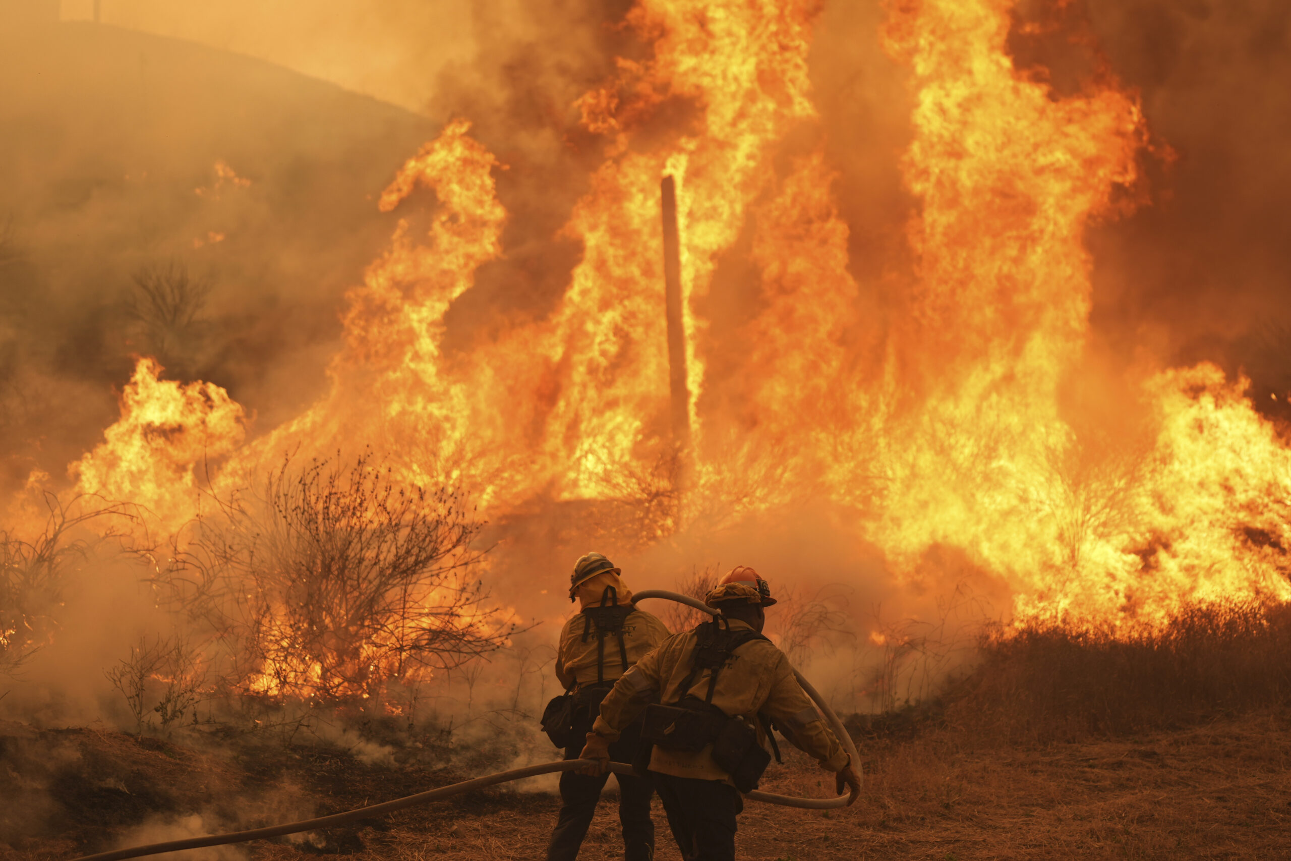 Halsey Canyon: Feuerwehrleute kämpfen gegen das Canyon Fire.