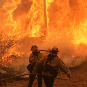 Halsey Canyon: Feuerwehrleute kämpfen gegen das Canyon Fire.