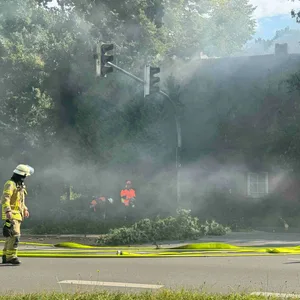 Um das brennende Reetdachhaus zu löschen, musste die Feuerwehr mehrere Bäume fällen.
