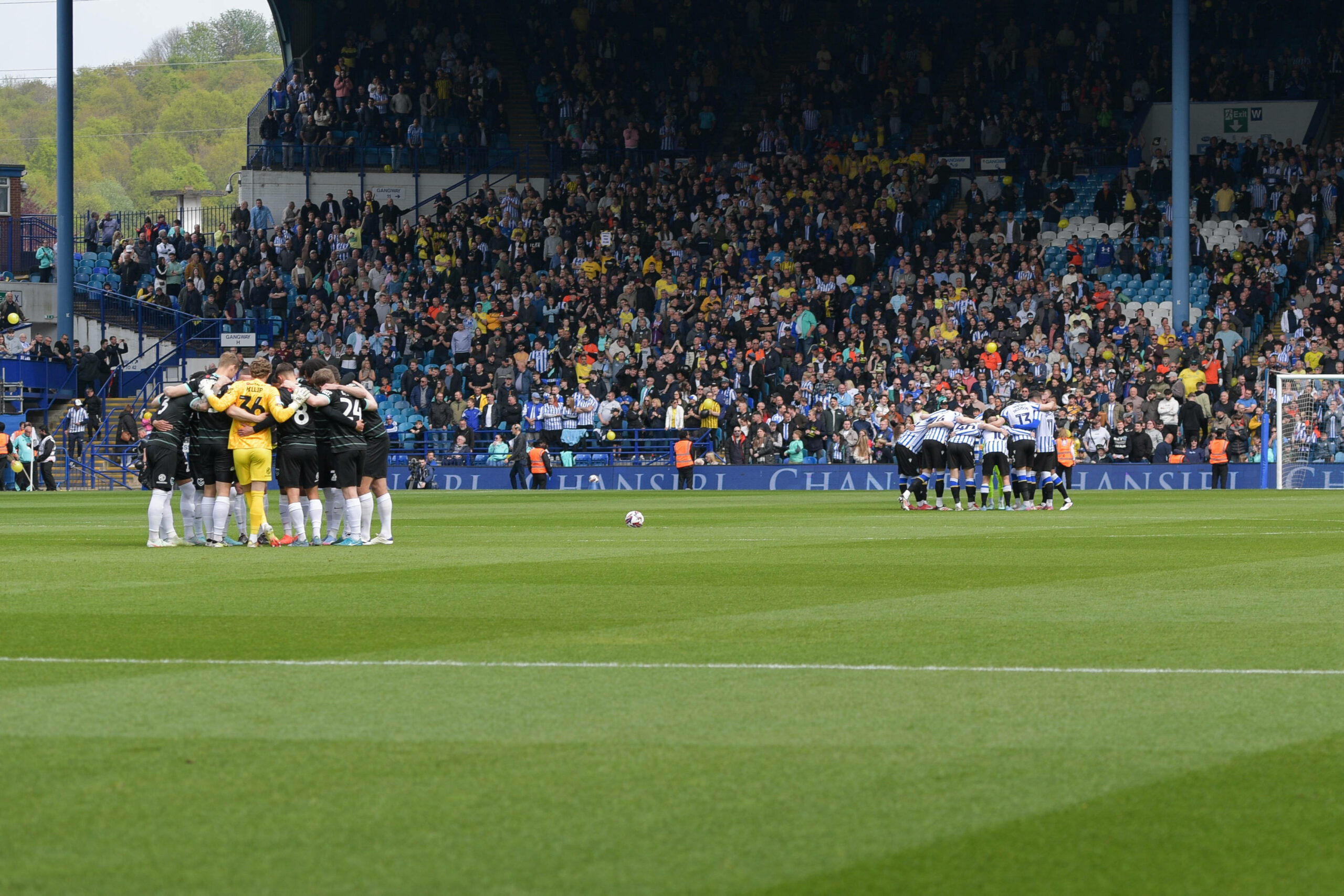 Sheffield Wednesday