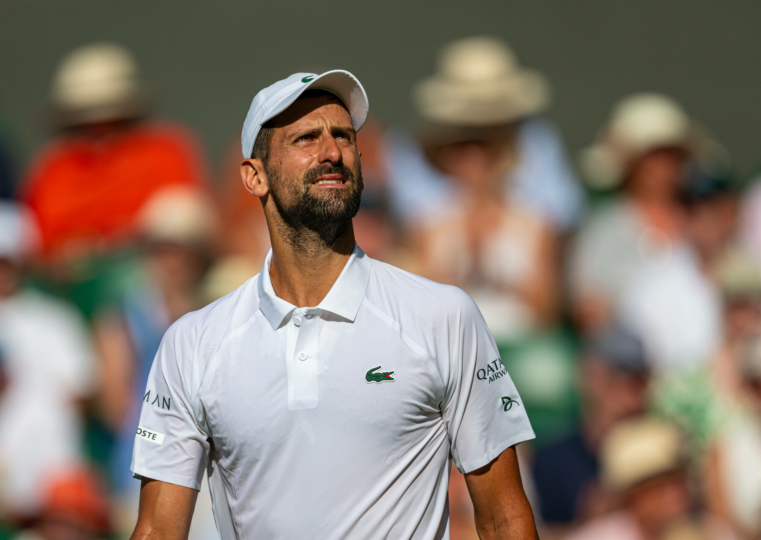 Novak Djokovic