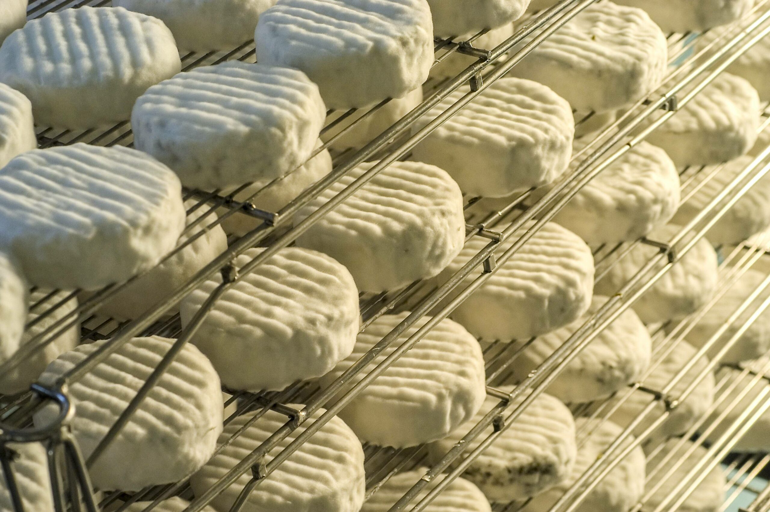 Mehrere Käsesorten eines französischen Herstellers (Symbolbild) werden auch in Deutschland zurückgerufen.