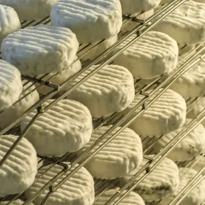 Mehrere Käsesorten eines französischen Herstellers (Symbolbild) werden auch in Deutschland zurückgerufen.