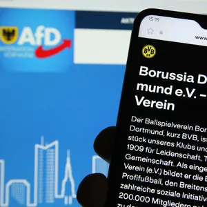Die Stellungnahme des BVB im Bezug der AFD-Wahlplakate