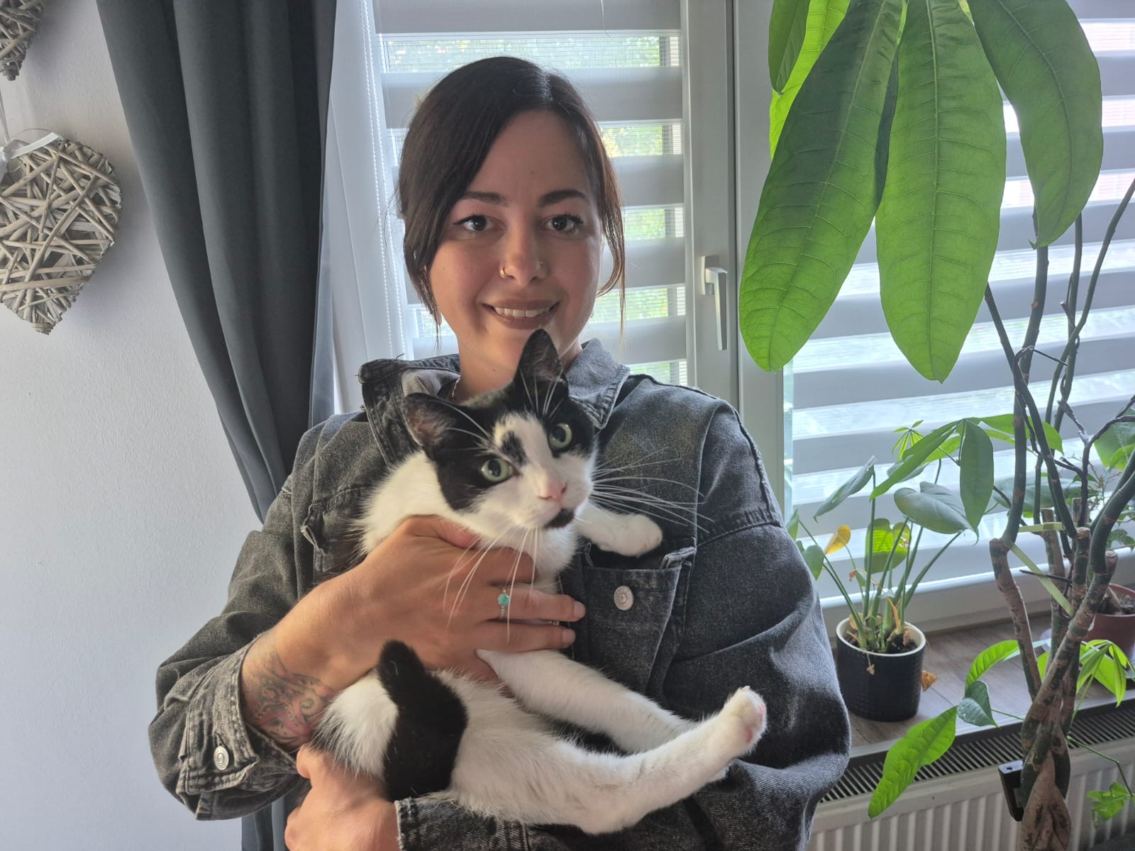 Katze geht in Lübeck stiften und fährt mit der Bahn alleine nach Hamburg – hier gab es später ein Happy End