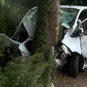 Schwerer Unfall in Altona-Altstadt – Transporter rast über Rad- und Fußweg und kracht dann gegen Baum