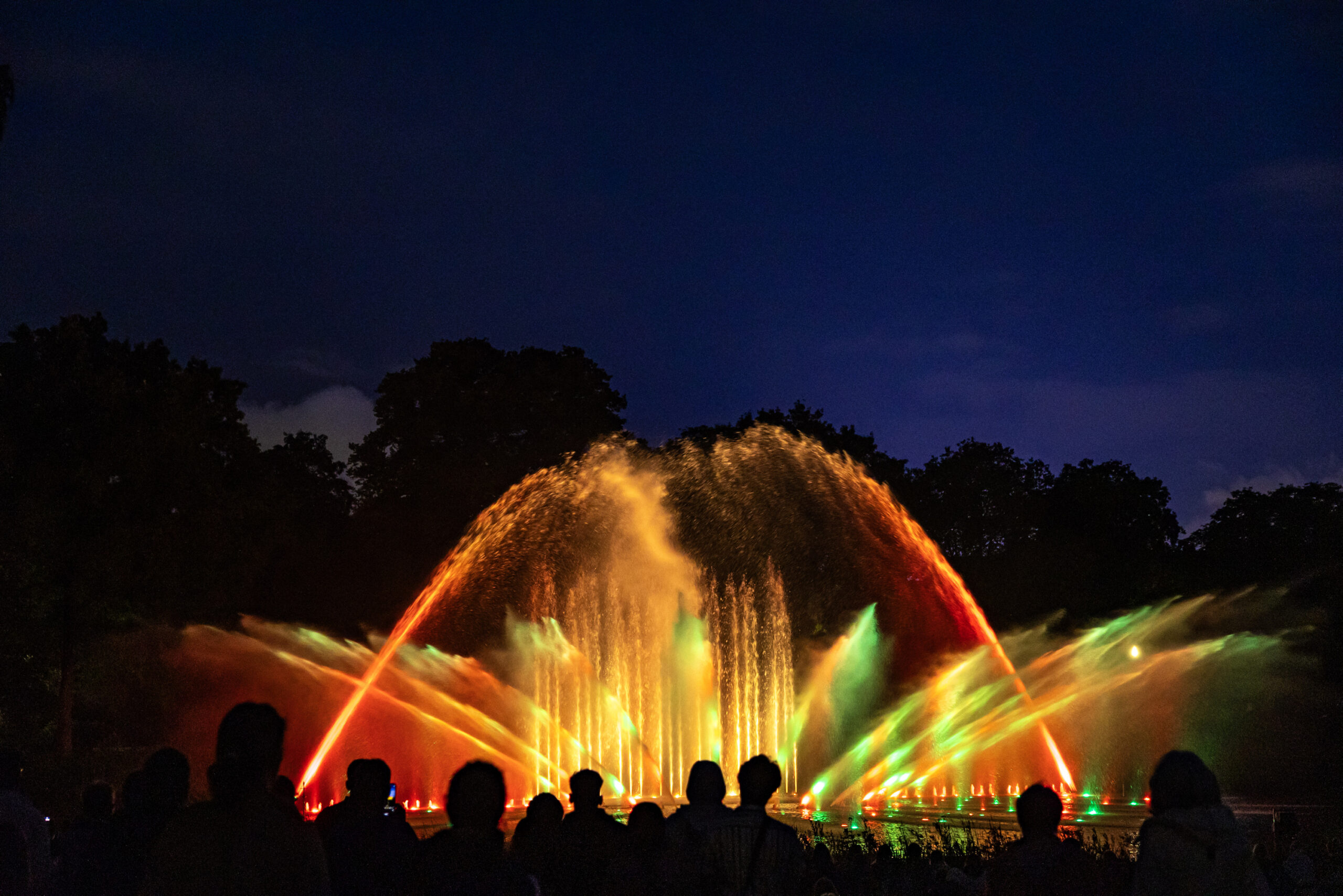 Wasserlichtspiele in Planten un Blomen