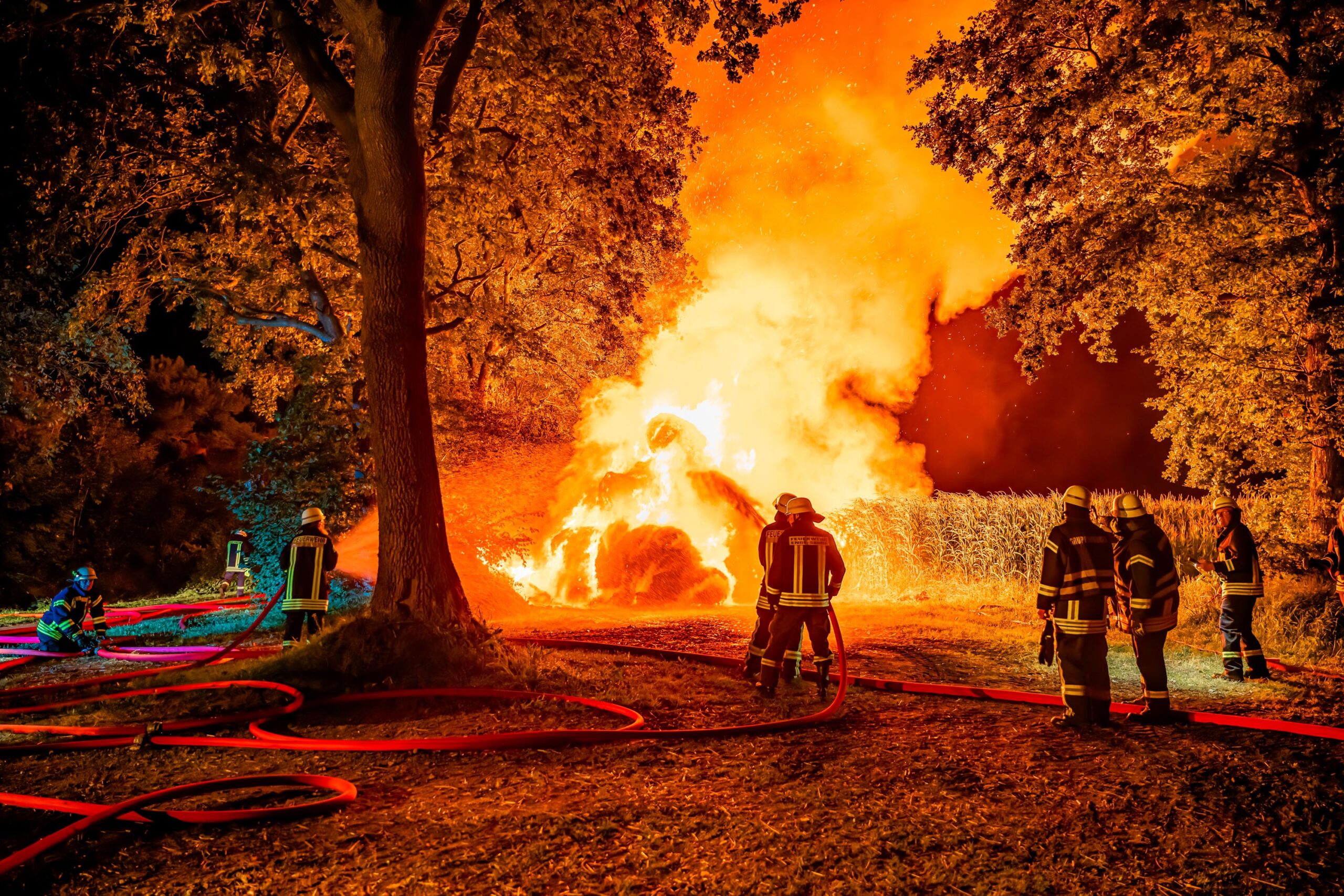 Lodernde Flammen in Enge-Sande