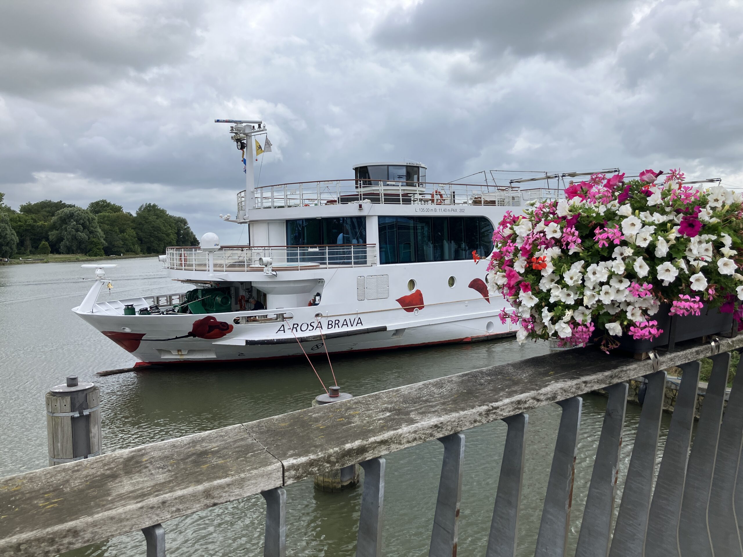 A-Rosa Brava in Hoorn