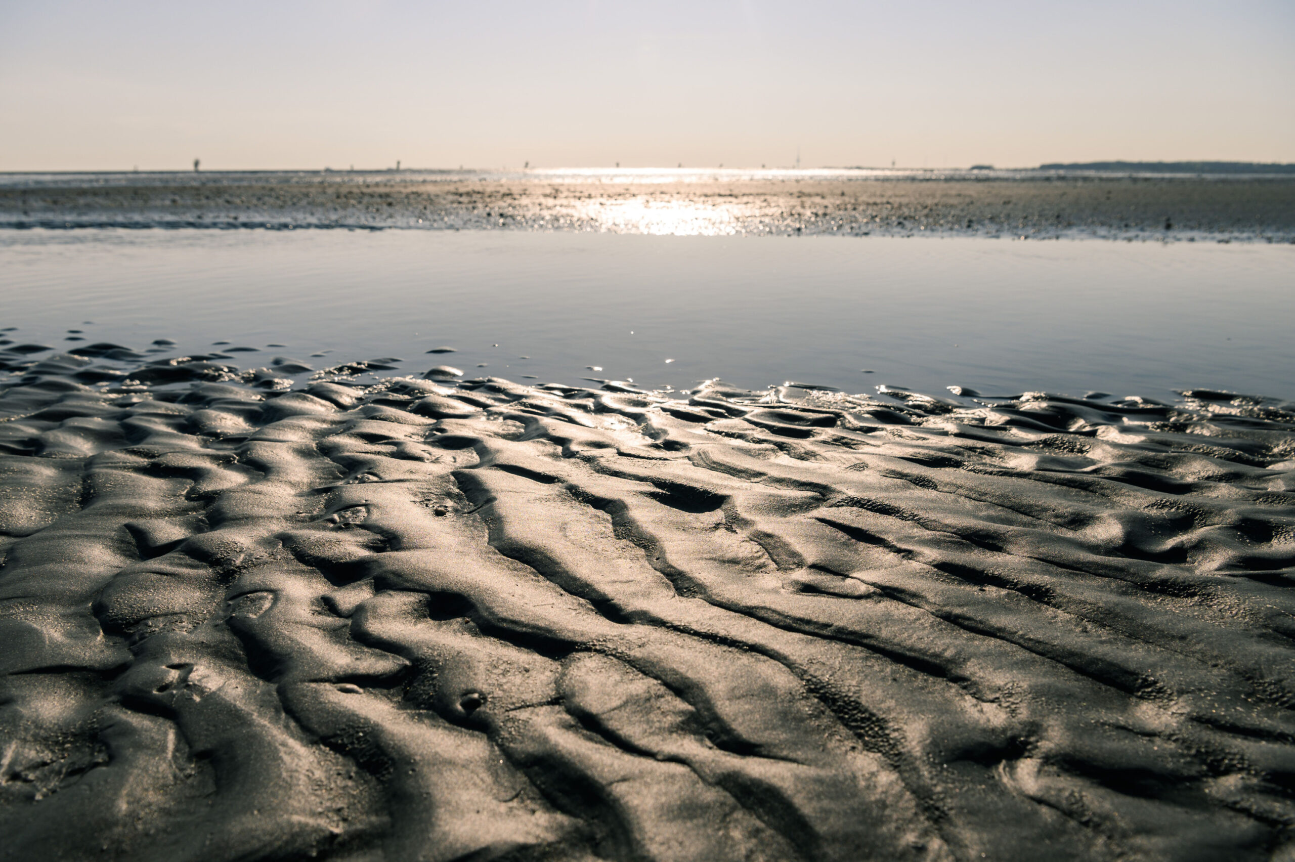 Ein Priel im Wattenmeer