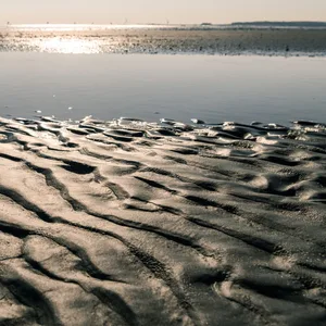 Ein Priel im Wattenmeer