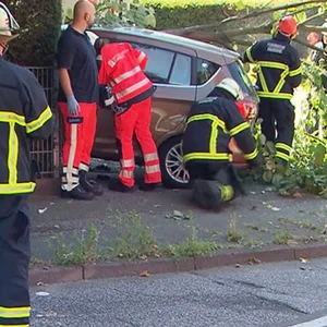 Der Ford B-Max hängt im Zaun.