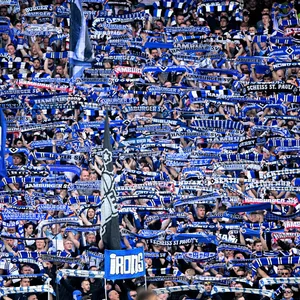 HSV-Fans mit Schals