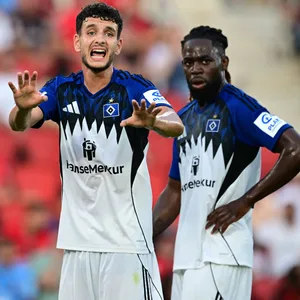 Daniel Elfadli gestikuliert vor Jordan Torunarigha